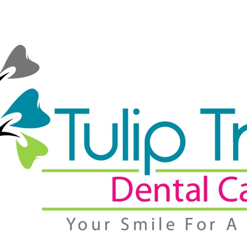 Tulip Tree Dental Care Dentist South Bendin In